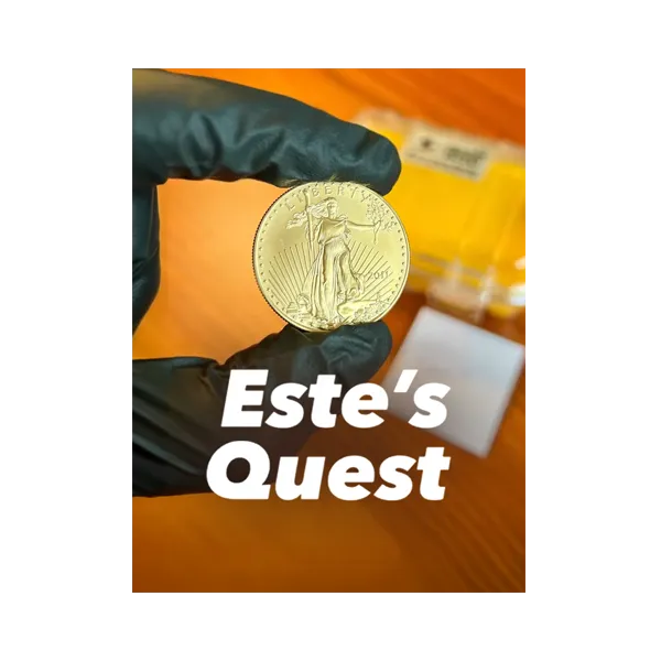 Cover art for Este’s Quest