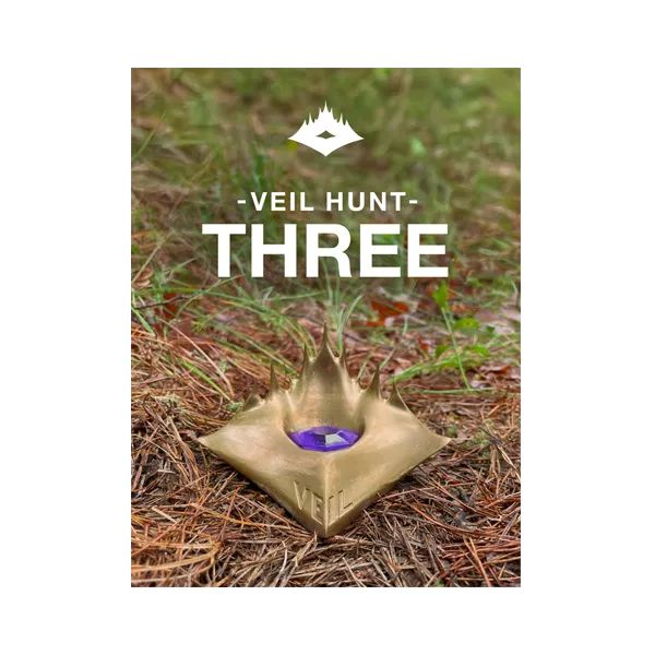 Cover art for Veil Hunt 3