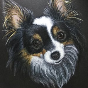 Profile photo for Koolma.