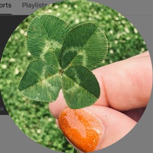 Profile photo for CarolAnnNC.