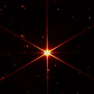 Profile photo for FallenStar.