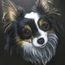 Profile photo for Koolma.